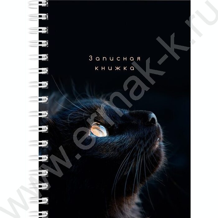 Зап. книжка  80л А6 спираль "Взгляды котиков" ассорти | Фото 5