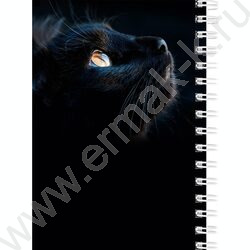 Зап. книжка  80л А6 спираль "Взгляды котиков" ассорти NEW | Фото 6