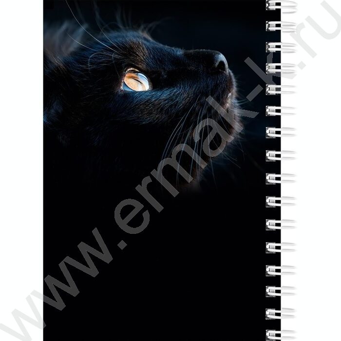Зап. книжка  80л А6 спираль "Взгляды котиков" ассорти | Фото 6