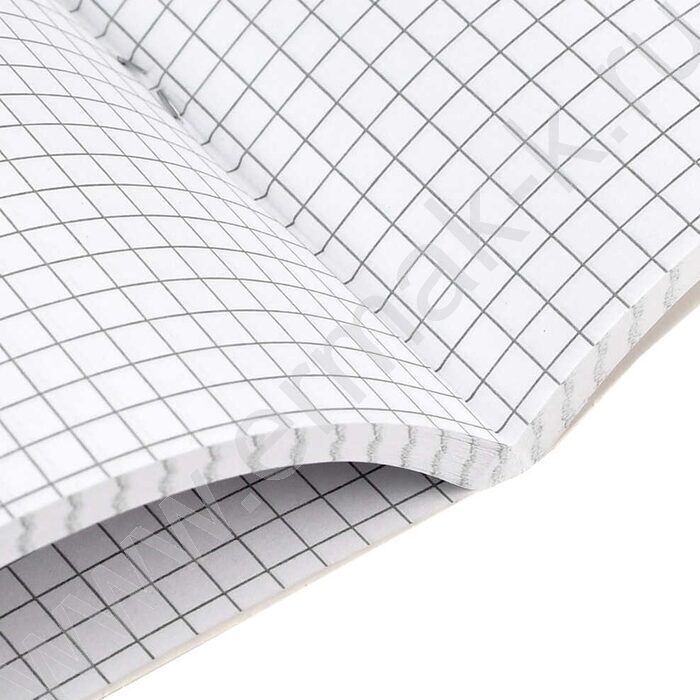 Тетрадь  96л А4 клетка "Собирай монеты" /выб. УФ-лак,ламинация "софт-тач" вельвет/ | Фото 5