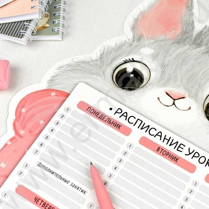 Расписание уроков А3 Кролик /выб.Уф-лак/ | Фото 3