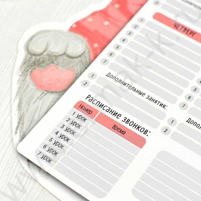 Расписание уроков А3 Кролик /выб.Уф-лак/ | Фото 4