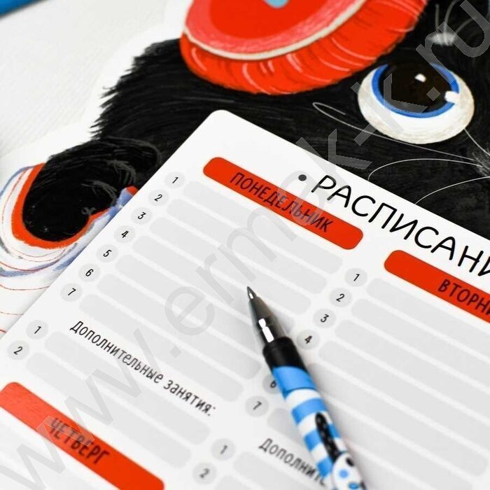 Расписание уроков А3 Кот /выб.Уф-лак/ | Фото 6