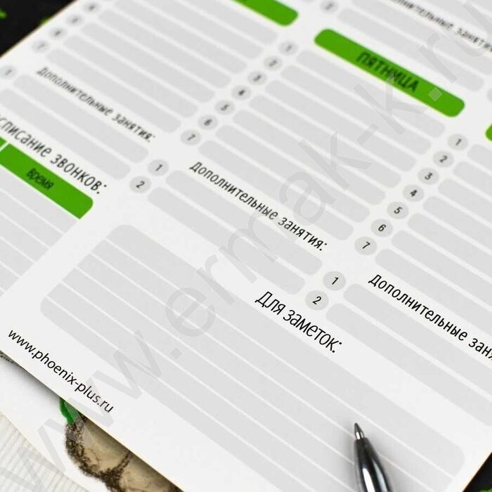 Расписание уроков А3 Бульдог /выб.Уф-лак/ | Фото 6