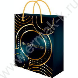 Пакет подарочный с матовой лам. и тиснением фольгой 190гр 18*23*10см (M) Круги NEW | Фото 1