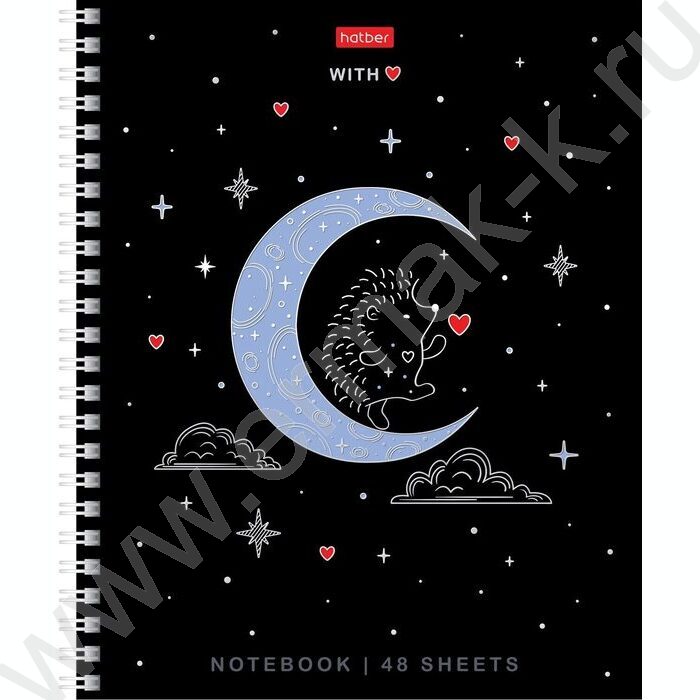 Тетрадь  48л клетка/спираль "На серебряной луне" /3D фольга/мат. лам. /4вида | Фото 4