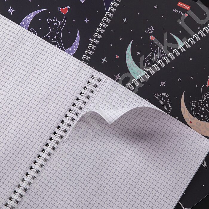 Тетрадь  48л клетка/спираль "На серебряной луне" /3D фольга/мат. лам. /4вида | Фото 6