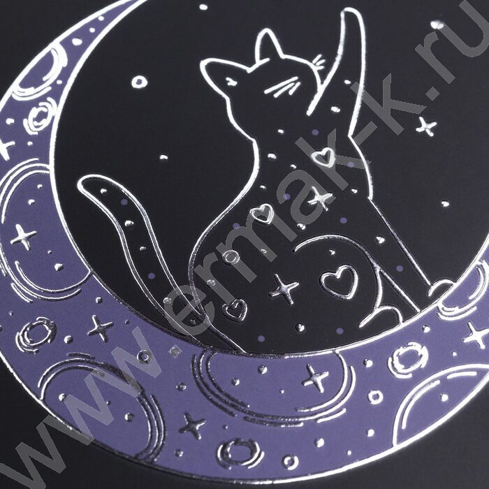 Тетрадь  48л клетка/спираль "На серебряной луне" /3D фольга/мат. лам. /4вида | Фото 7