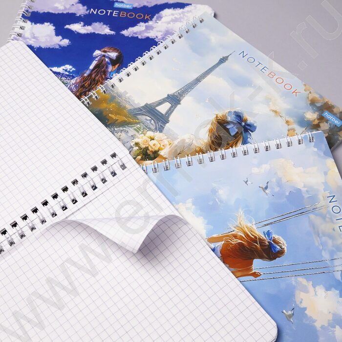 Тетрадь  48л клетка/спираль "Прекрасные незнакомки" 4вида | Фото 6