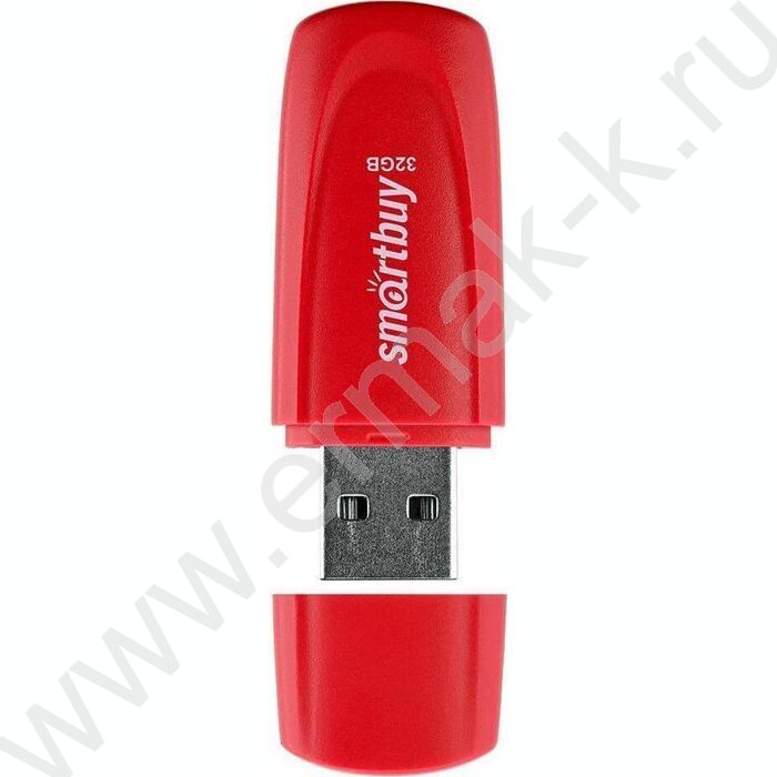 Съемный носитель информации 32GB USB Flash Drive <USB 2.0> красный "Scout" | Фото 2