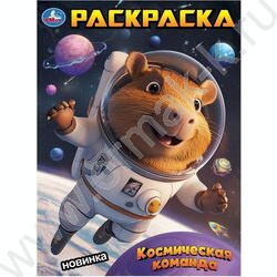 Раскраска А4 Космическая команда NEW | Фото 1