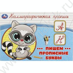 Пропись А5 Каллиграфическая.Пишем прописные буквы NEW | Фото 1