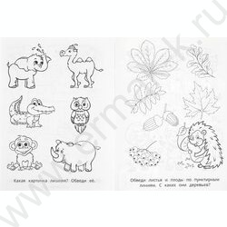 Пропись А5 Мои первые прописи.Линии,узоры,штриховка | Фото 4