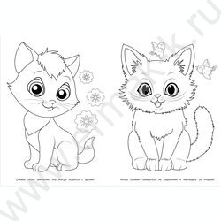 Раскраска А4 Милые коты NEW | Фото 2