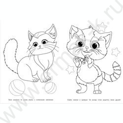 Раскраска А4 Милые коты NEW | Фото 3