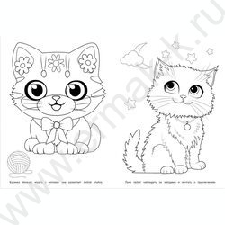 Раскраска А4 Милые коты NEW | Фото 4