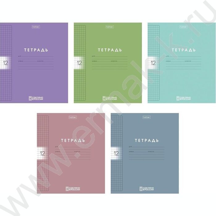 Тетрадь  12л клетка пл.обл."Color Set" ассорти | Фото 1