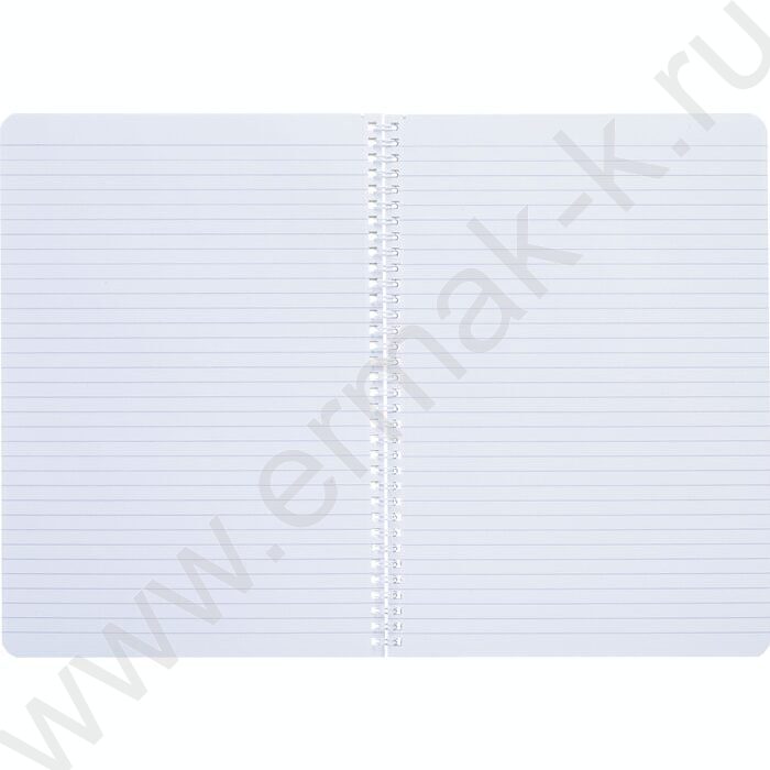 Тетрадь  96л А4 линейка/спираль/перфорация на отрыв "Пределы нормы" /мат.лам./ ассорти | Фото 4