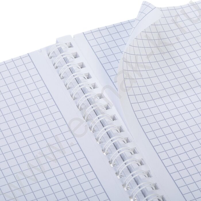 Тетрадь  96л А4 линейка/спираль/перфорация на отрыв "Пределы нормы" /мат.лам./ ассорти | Фото 6