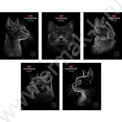 Тетрадь  48л клетка "Black Cat" /3D лак /мат.лам. /5видов NEW | Фото 1