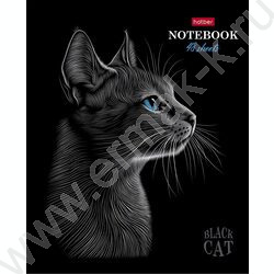 Тетрадь  48л клетка "Black Cat" /3D лак /мат.лам. /5видов NEW | Фото 2