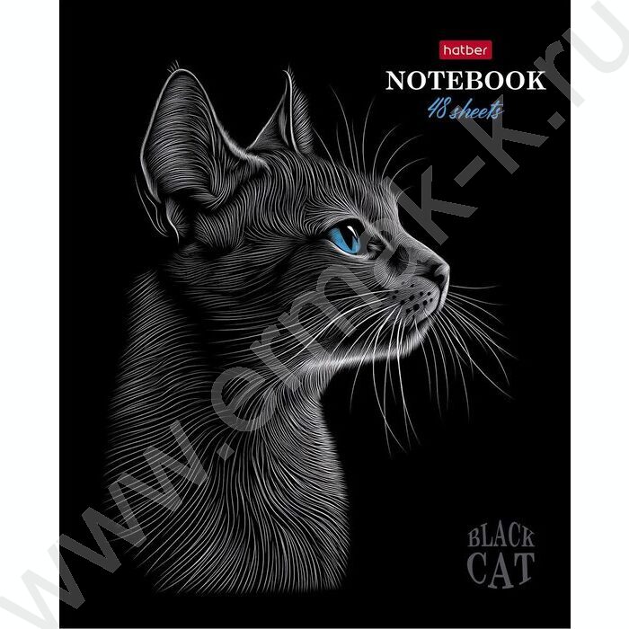 Тетрадь  48л клетка "Black Cat" /3D лак /мат.лам. /5видов | Фото 2