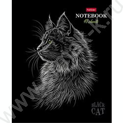 Тетрадь  48л клетка "Black Cat" /3D лак /мат.лам. /5видов NEW | Фото 4