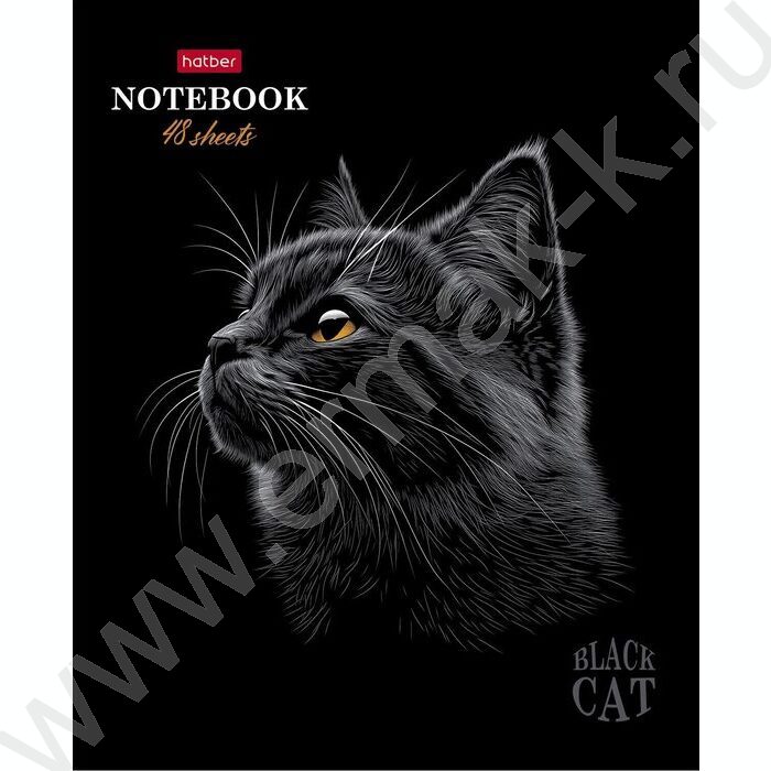 Тетрадь  48л клетка "Black Cat" /3D лак /мат.лам. /5видов | Фото 5