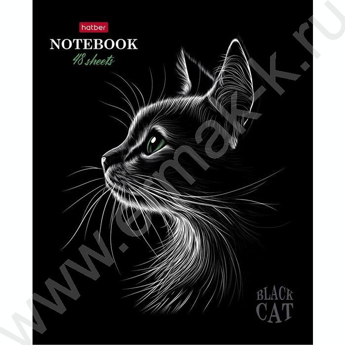 Тетрадь  48л клетка "Black Cat" /3D лак /мат.лам. /5видов | Фото 6