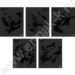 Тетрадь  48л клетка "Shadow" /3D лак /мат.лам. /5видов NEW | Фото 1
