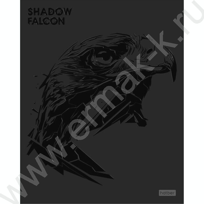 Тетрадь  48л клетка "Shadow" /3D лак /мат.лам. /5видов | Фото 4