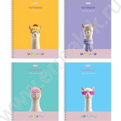 Тетрадь  48л клетка/спираль "ALPACA" /ламинац.SOFT-TOUCH / 4вида NEW | Фото 1
