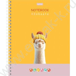 Тетрадь  48л клетка/спираль "ALPACA" /ламинац.SOFT-TOUCH / 4вида NEW | Фото 2