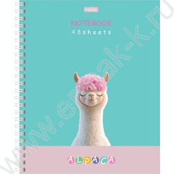 Тетрадь  48л клетка/спираль "ALPACA" /ламинац.SOFT-TOUCH / 4вида NEW | Фото 4