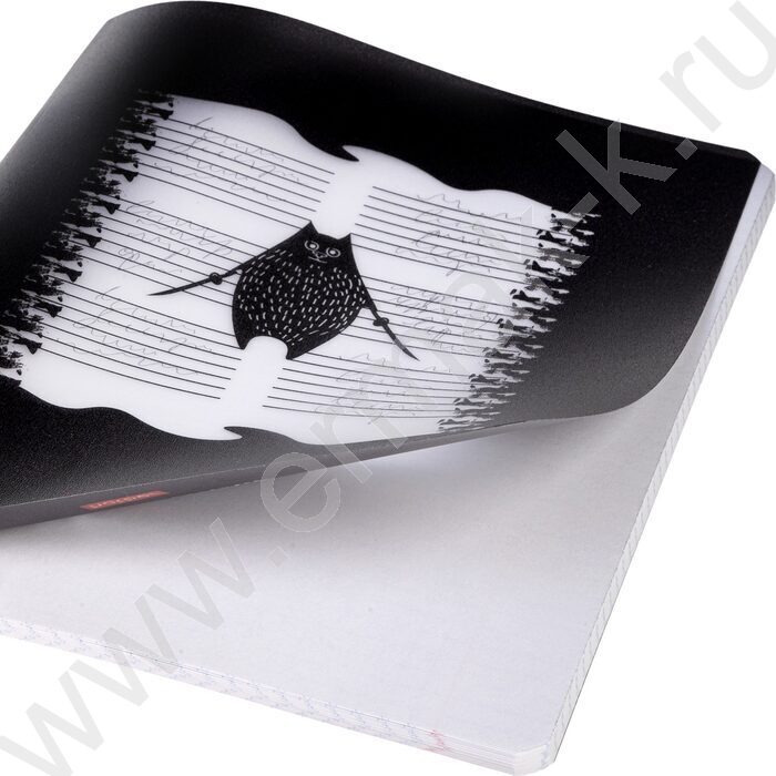 Тетрадь  48л клетка/пластик обл. "Кот-самурай" ассорти | Фото 8