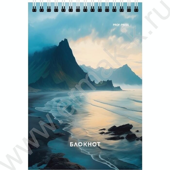 Блокнот  40л А6 спираль "Виды природы-8" ассорти | Фото 2