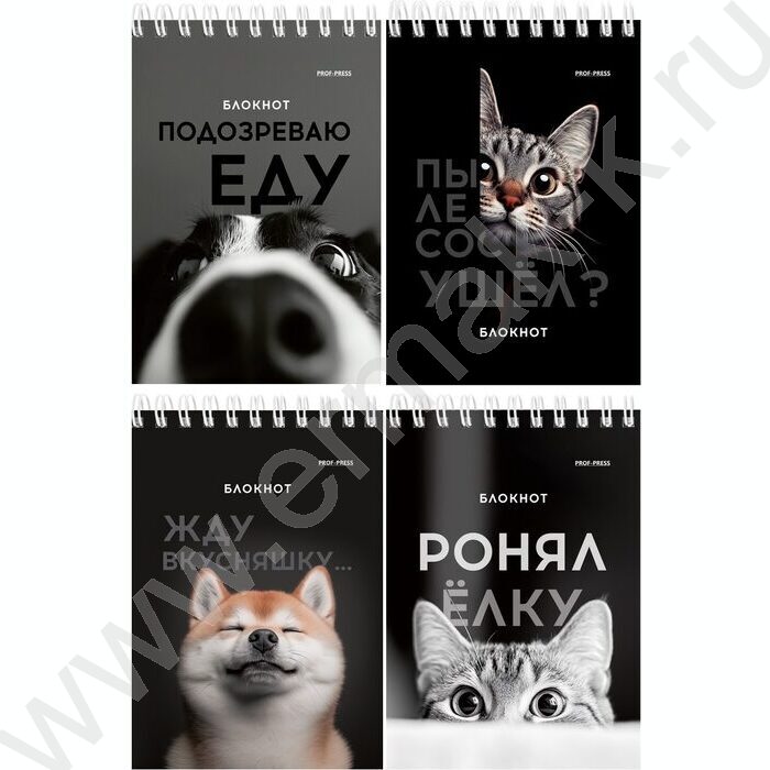 Блокнот  40л А6 спираль "Смешные питомцы" ассорти | Фото 1