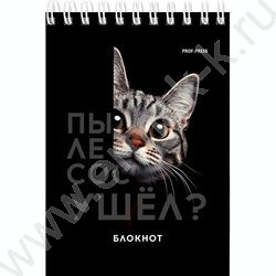 Блокнот  40л А6 спираль "Смешные питомцы" ассорти NEW | Фото 3