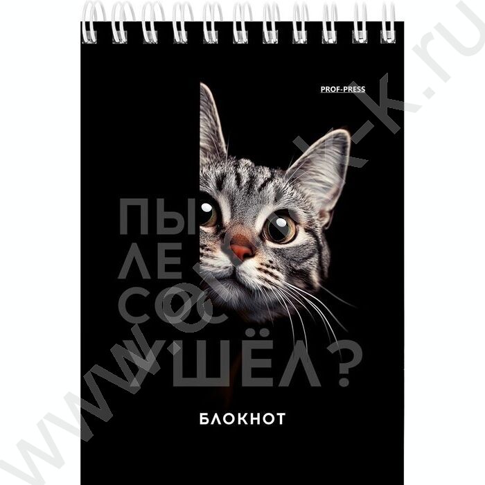 Блокнот  40л А6 спираль "Смешные питомцы" ассорти | Фото 3