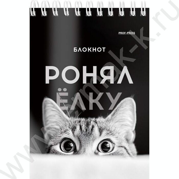 Блокнот  40л А6 спираль "Смешные питомцы" ассорти | Фото 5