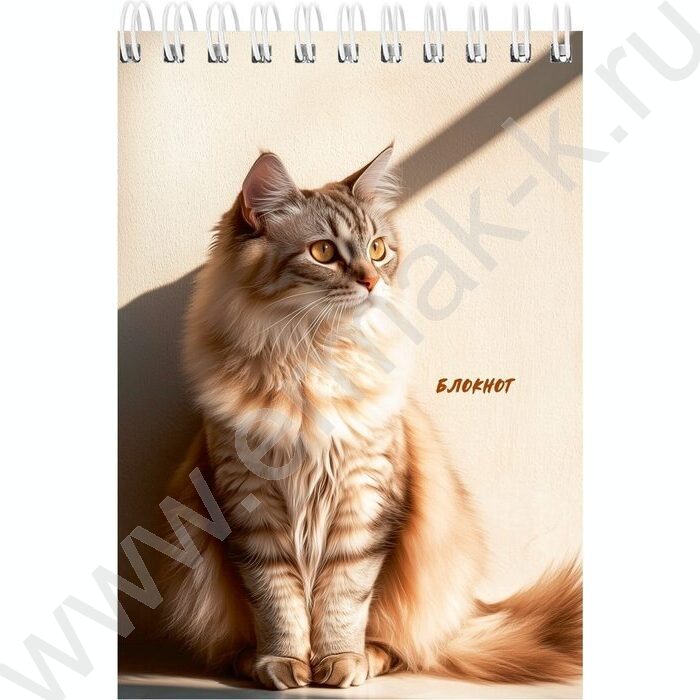 Блокнот  40л А6 спираль "Солнечные котики" ассорти | Фото 2