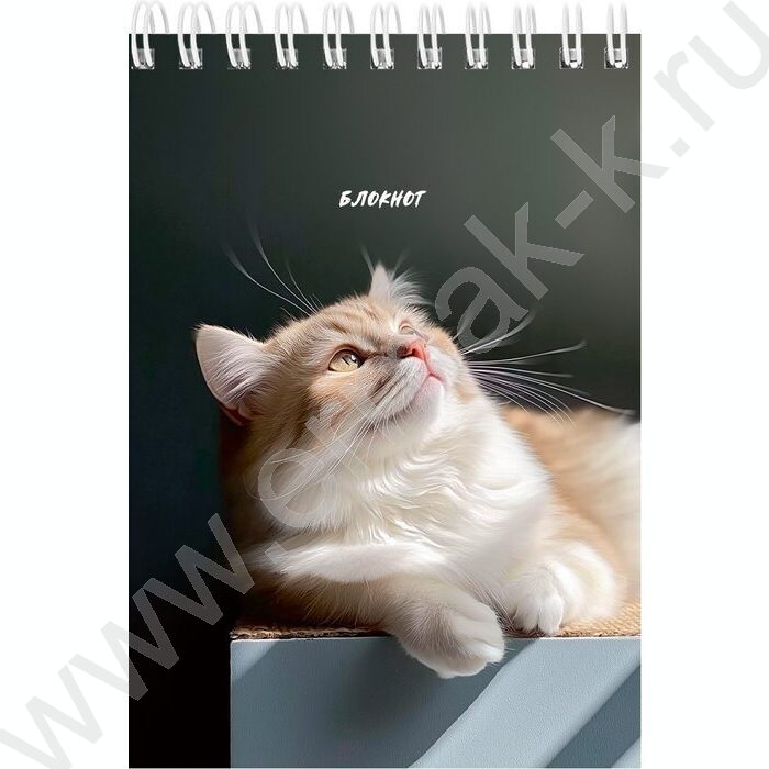 Блокнот  40л А6 спираль "Солнечные котики" ассорти | Фото 3