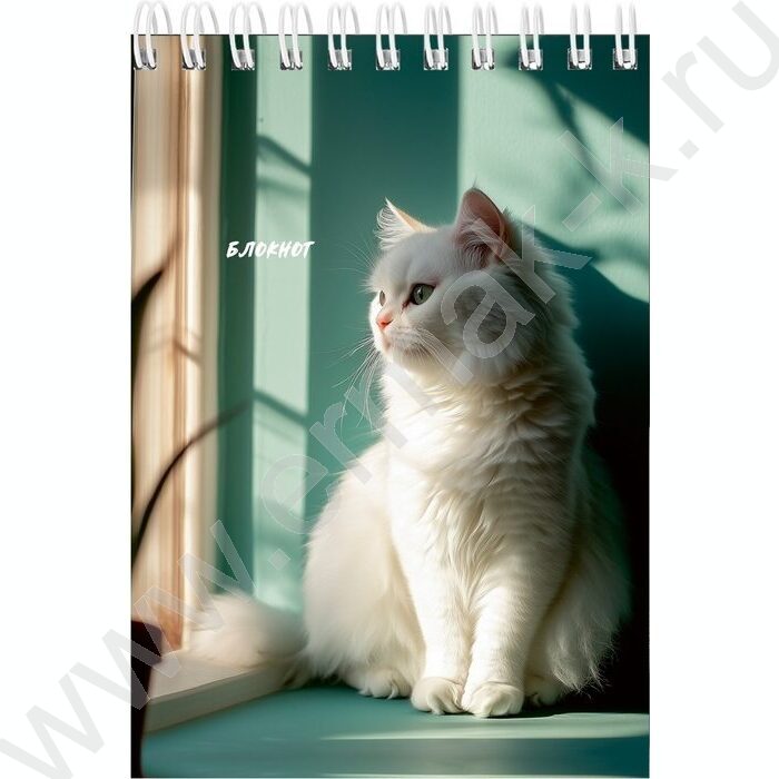 Блокнот  40л А6 спираль "Солнечные котики" ассорти | Фото 4