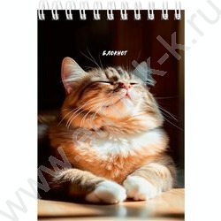 Блокнот  40л А6 спираль "Солнечные котики" ассорти NEW | Фото 5