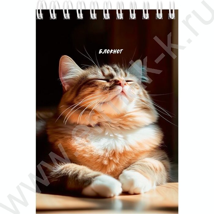 Блокнот  40л А6 спираль "Солнечные котики" ассорти | Фото 5