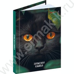 Зап. книжка 96л А6 тв.обл  "Взгляд чёрного кота" /глянец/ NEW | Фото 1