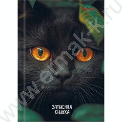 Зап. книжка 96л А6 тв.обл  "Взгляд чёрного кота" /глянец/ NEW | Фото 2