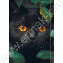 Зап. книжка 96л А6 тв.обл  "Взгляд чёрного кота" /глянец/ NEW | Фото 4
