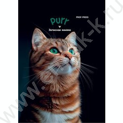 Зап. книжка 48л А7 тв.обл  "Зеленоглазый котик-1" /глянец/ NEW | Фото 1