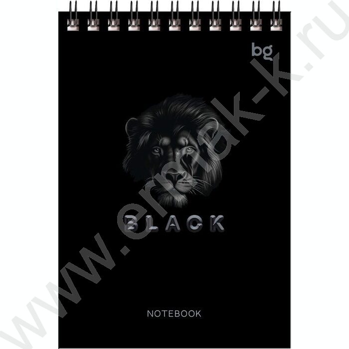 Блокнот  60л А6 спираль "Just black" ассорти | Фото 4